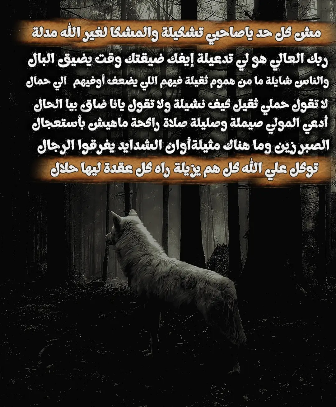 (( مش كل حد يا صاحبي تشكيلة...  والمشكا لغير ألله رآه مدلة...   ربك العالي هو لي تدعيلة إيفك ضيقتك وقتن يضيق البال...  والناس شايلة ما من هموم ثقيلة فيهم اللي يضعف أوفيهم        اللي حمال...  لا تقول حملي ثقيل كيف نشيلة ولا تقول يانا ضاق بي   الحال... أدعي المولي صيملة وصليلة صلاة راكحة ماهيش بأستعجال... الصبر زين وما هناك مثيلة... أوان الشدايد يفرقوا الرجال... توكل عللي كل هم يزيلة... راة كل عقدة عندة لها حلال... 