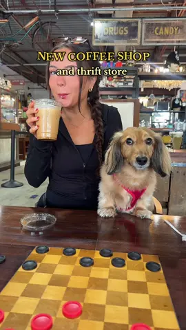 The Buzz Cafe ☕️ 🐝 #stpete #coffeeshop #tampa #Foodie #yum
