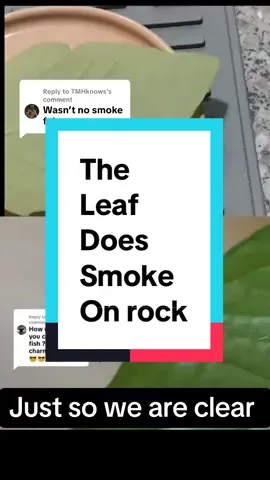 Replying to @TMHknows better run to see the original before he deletes it.. Better go watch again on the og he has still on his page . You can tell he is working with it hot . The last leave is laying on it and not burning or destroying it .hit th road dooooood this PRIVATEEEE PRAWPUTY#debunk#meteorite#fake#hoax#solder