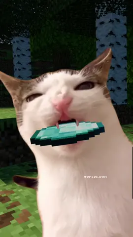 original: @Crunchycat - edit: me #Minecraft #cat #fyp #memestiktok #funnytiktok 