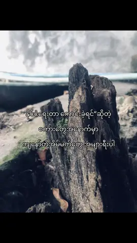 အဆိပ်သင့်မြေ #fyp #viwes #waiyan_577 