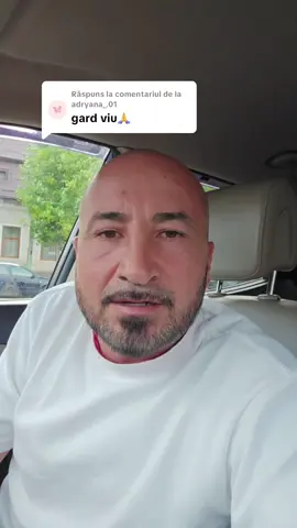 Ca răspuns pentru @adryana_.01 Salveaza videoclipurile, Redistribuie și comentează cu ce plante vrei sa iti trimitem 🥰 #GlisTerra #paulownia #paulowniaonline 