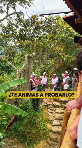 TOUR DE CAFÉ ☕️ Reserva en +57(311)3008284  Conoce nuestra cultura cafetera con esta experiencia en las montañas de Antioquia, tan solo 30 minutos de Medellín y llévate el mejor recuerdo en tu corazón 💖 Incluimos la alimentación y un regalo especial para que prepares en casa y te lleves un pedazo de Colombia en la maleta! 🥰 Atención personalizada 👉🏼 Escríbenos +57(311)3008284 #tourdecafe #cafecolombiano #turismomedellin #viajesyturismo #toursenmedellin 