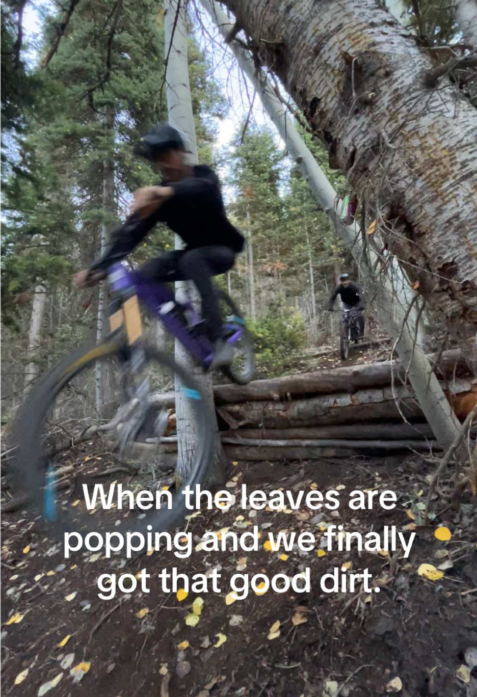 If only peak fall mountain biking conditions would last more than two weeks… 🍂 🚲 ⛰️ 