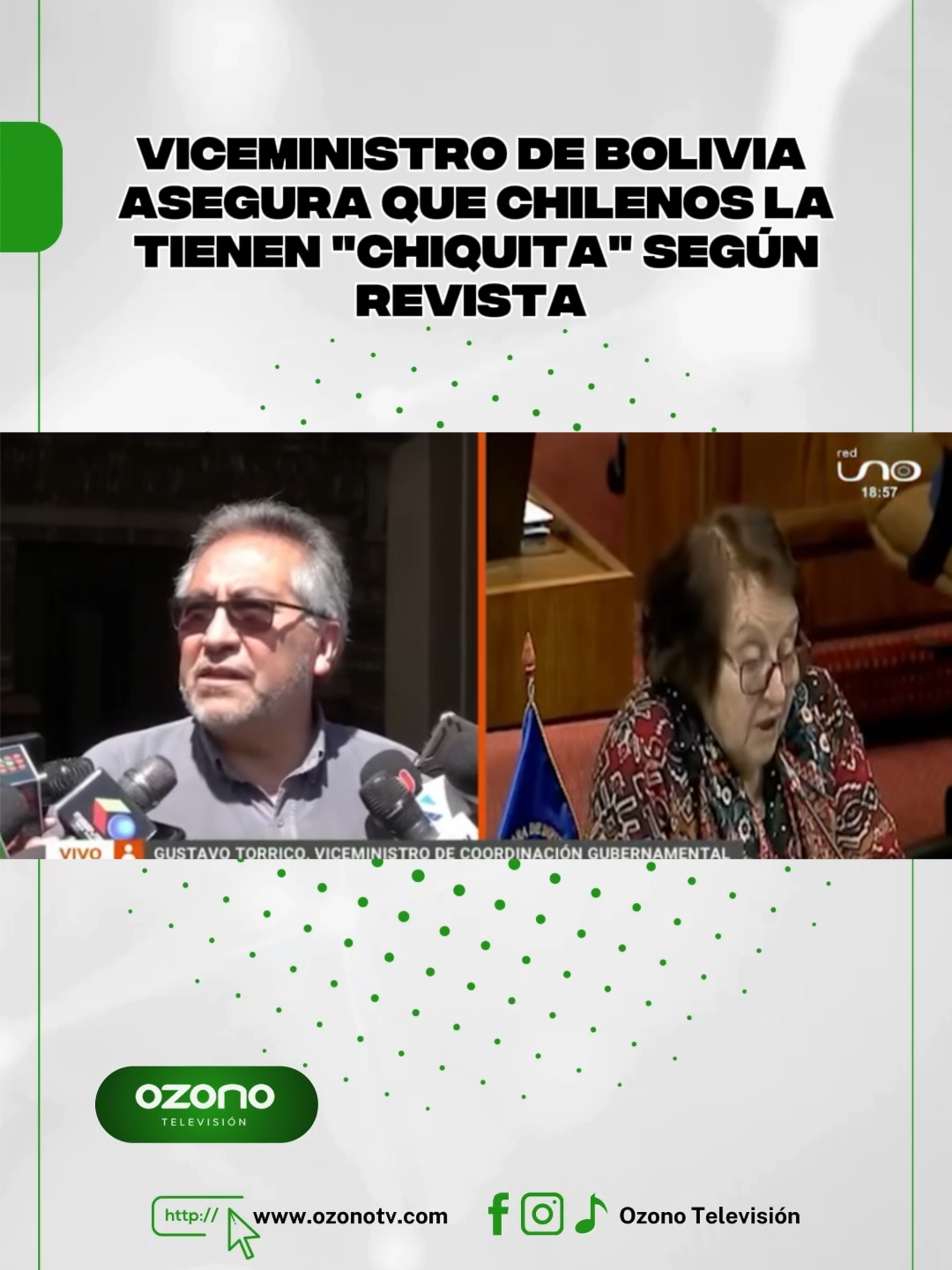 Viceministro de Bolivia asegura que chilenos la tienen 