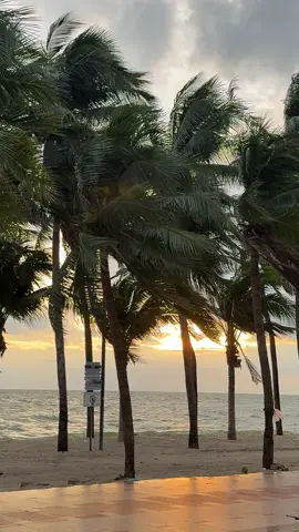 🌊🌴#บางแสนชลบุรี #พักผ่อน #ฟีดดดシ #ชอบเที่ยว #ทะเล 