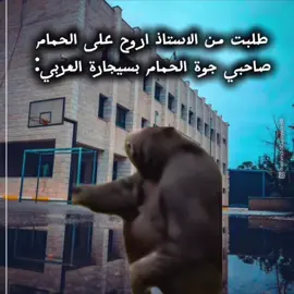 #CapCut #صوريف #الخليل #فلسطين 