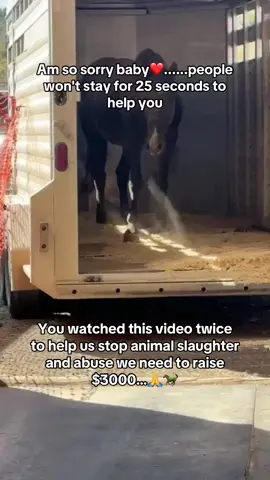 You watched this video twice