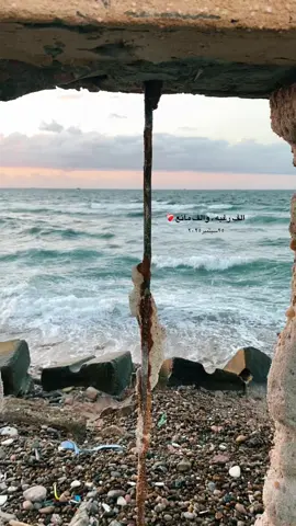 #تصويري📸 #alexandria #fyp #varil@anghamofficial 