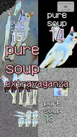 pure soup extravaganza
