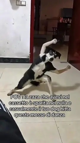 Crediti Canzone nella bio #k1dvuller #musictiktok #memetiktok 