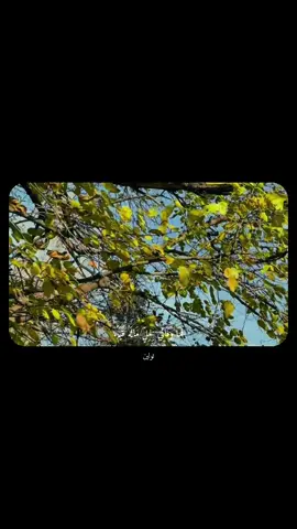 ✨كم خاب ظني✨ . . . . #fyp  #fyppppppppppppppppppppppp #explore #شعر #CapCut 