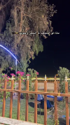 #بعدك_مامتابعني🥲🫀 #المصور_مؤمل_رياض #العماره_ميسان #المجر_الكبير #الشعب_الصيني_ماله_حل😂😂 