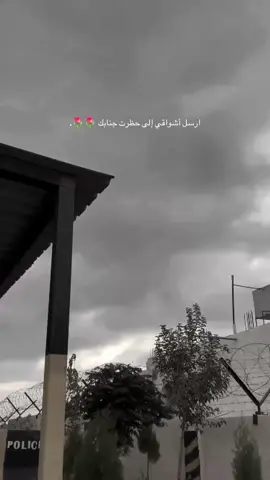 ⧼ بدر العزي ⧽.       #معان_الشوبك🇯🇴           #tiktoknews          #jordan         #fypシ゚vira 