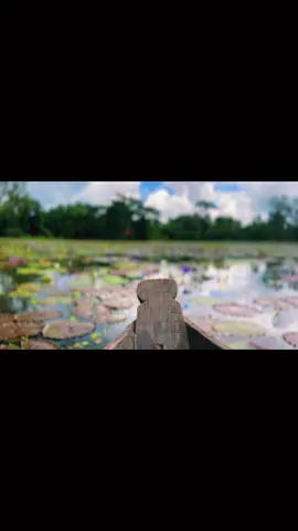 #foryoupage  . . . . . #tiktokbangladesh #foryoupage # #foryou 