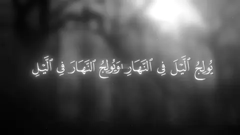 #قران #محمد_اللحيدان #quran 🤍.