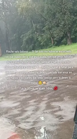Pinche vato 💋