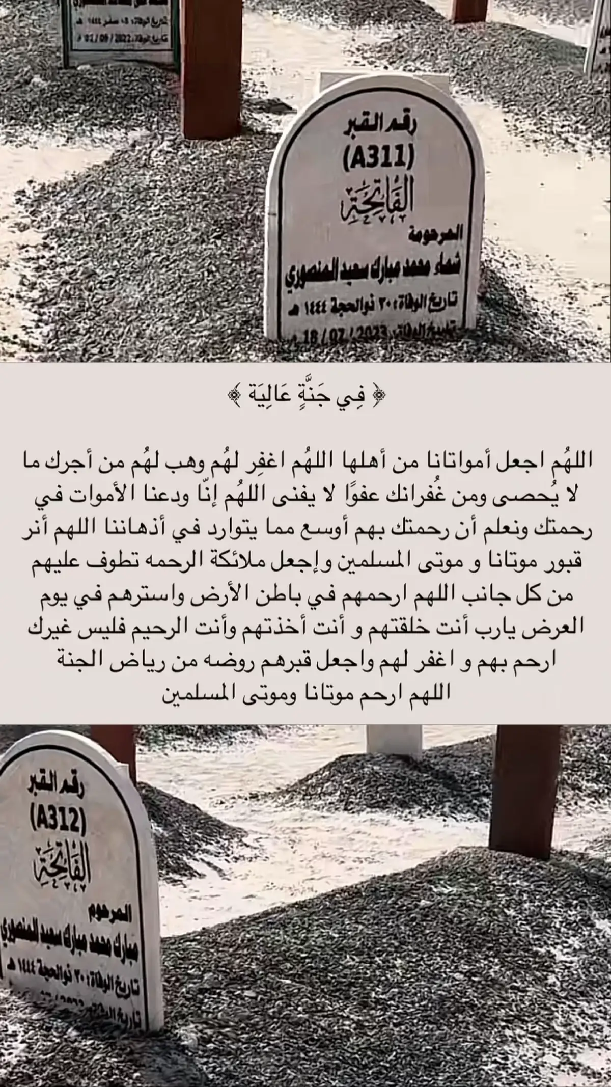 #صدقة_جارية  #fyp  #explore  