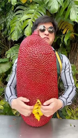 Best fruits ever 🥭🍎🍑🍊 #fruits #juicy #usa #foryou #trending 