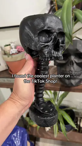 This skull planter couldn’t be any cuter! 🖤🙌🏼 #skullplanter #plantlover #planter 