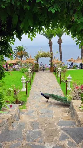 #كاب_سبارطيل #طنجة #طنجة_عروسة_الشمال #طنجة_العالية #المغرب🇲🇦 