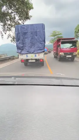 Padat