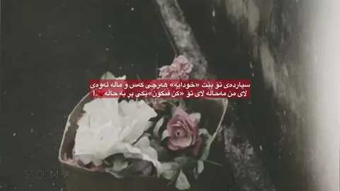 ♥️.#oops_alhamdulelah #fyp #حسبنا_الله_ونعم_الوكيل #actives #lilies 