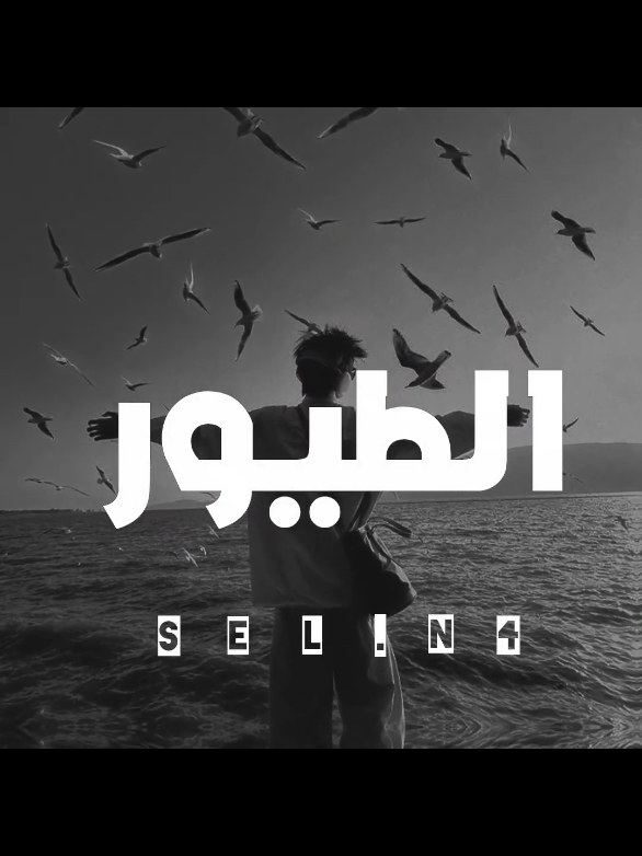 لو روحي طير تصير لأرض البقيع تطير 🥹🕊️💫 #ارتدي_السماعات🎧  #مهدي_العبودي 