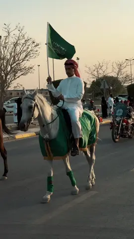 #البحريه_السعوديه #اليوم_الوطني_السعودي_93 #السعودية🇸🇦 