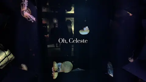 I miss D4vd.. #d4vd #celeste #song #lover 