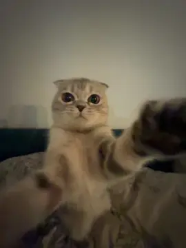 Хахахаахха тгк: qwizzeeer 