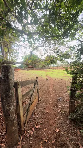 Espia pro céis vê que paz #porteira #zonarural_go #caipira #fazenda 