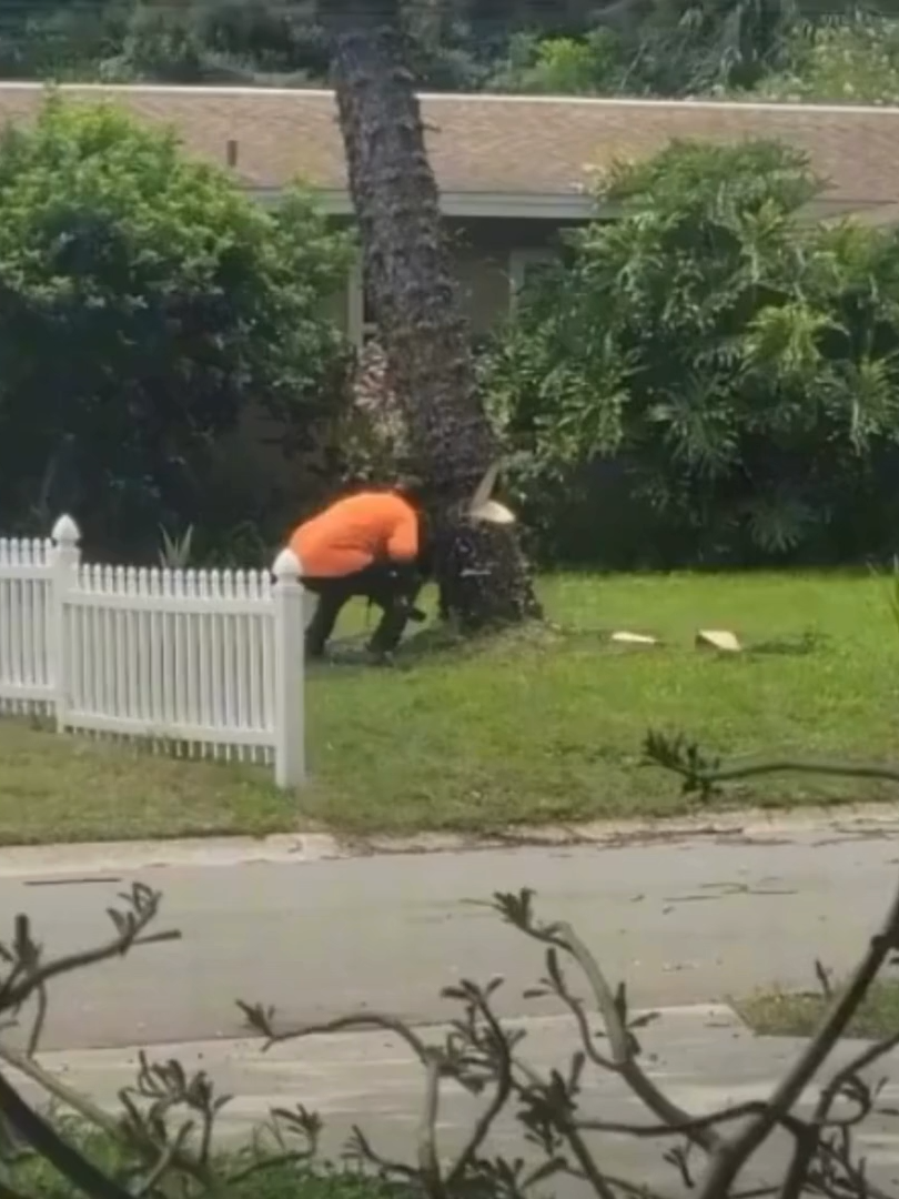 This is WHY You Don't Cut Towards The House – Contractor Makes Major Mistake and Damages Home🤯 @safetyfails_1 - Let’s Increase Workplace Safety #accident #accidents #construction #construção #safety #safetyfirst #laddersafety #risk #risky #firesafety #training #fails #ladder #transportation #roofer #roof #roofing #tree #treecutter #trees