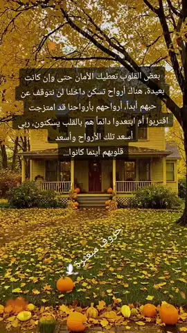 #حروف_مبعثرة🕊 #المانيا_السويد_النمسا_النروج_دينيمارك #تونس_الكويت_مصر_السعودية_العراق #الخليج_العربي 
