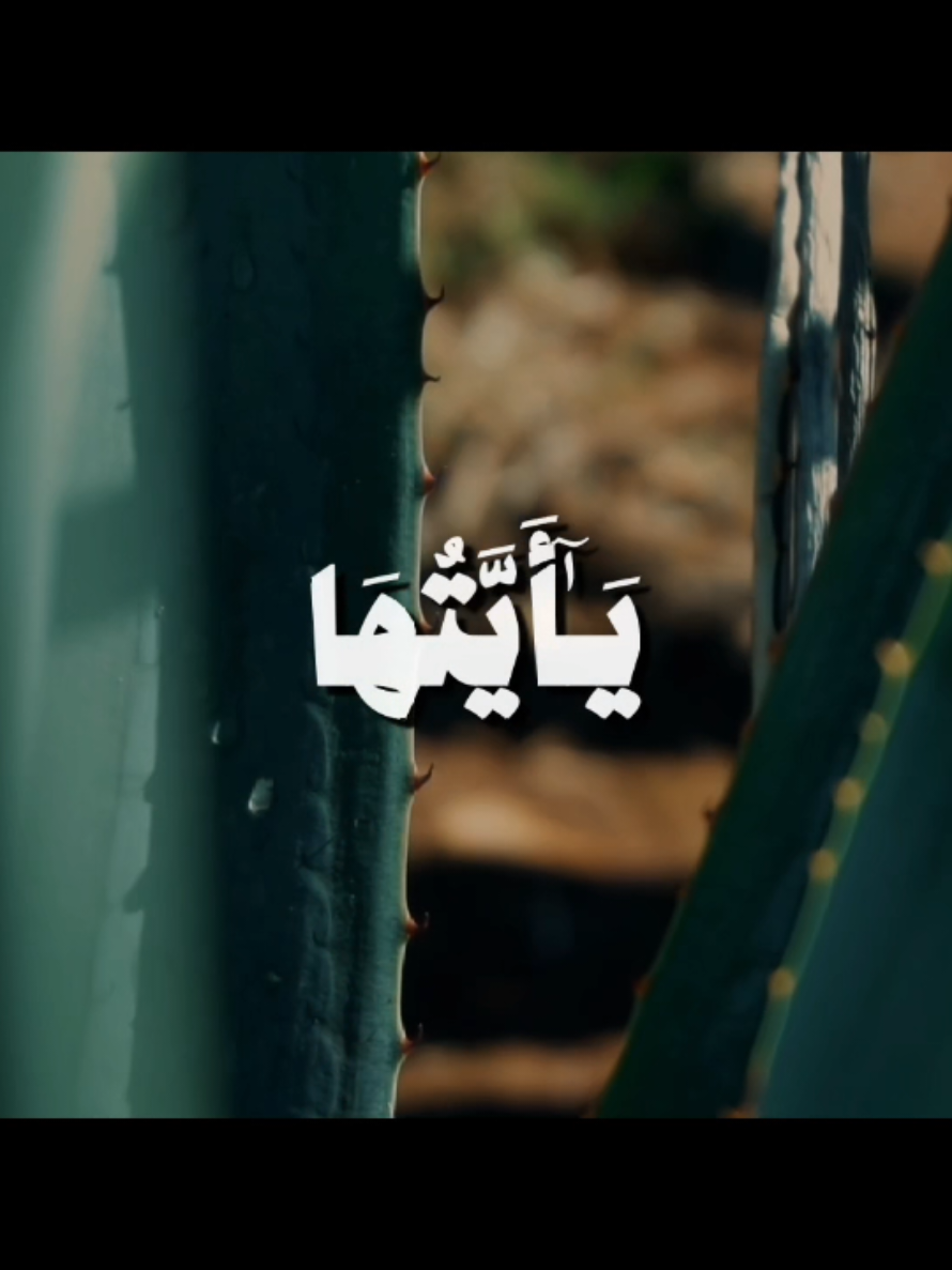 يَاأَيَّتُهَا النَّفْسُ الْمُطْمَئِنَّةُ } [سُورَةُ الفَجْرِ: ٢٧] القارئ: علي جابر  . . . #قرآن #quran #قران_كريم #علي_جابر #علي_جابر_رحمه_الله 