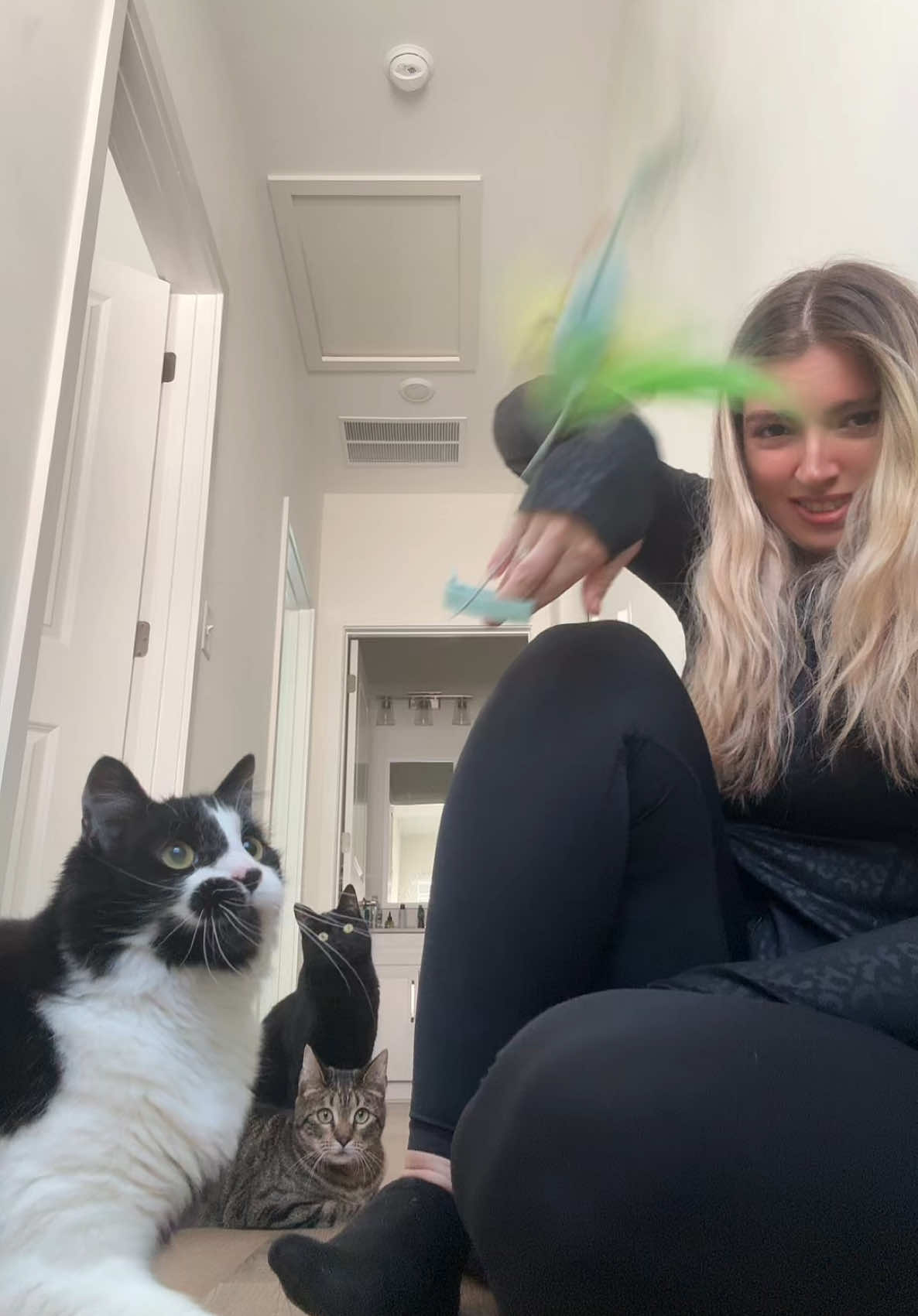I thought the sound was purrfect 👏 #viralvideo #real 
