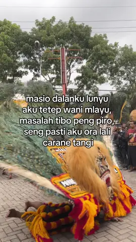 @sohipshanciko nuhun mas 😇 #boloreog #storyreog #fyp 