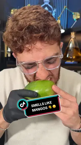 As long as Mr. Majesty has his syringe he can cook up anything 😮‍💨 🔥 🧪 Go get you some Murano.  #majestyfragrance  #fragrancetiktok  #majesty  #fragrancelives  #fragrancetok 