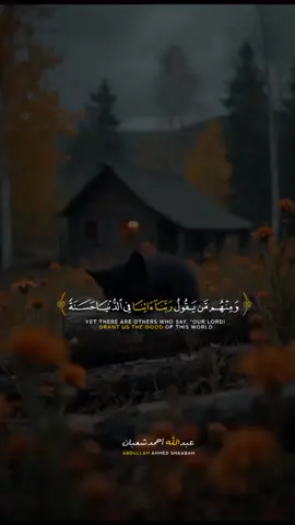 #اكتب_شي_توجر_عليه #القارئ #عبدالله_احمد_شعبان #راحة_نفسيه #CapCut 