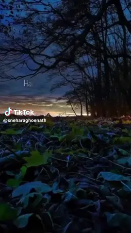 #foryou 