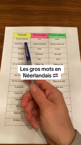 Les gros mots en Néerlandais 🇳🇱 #janleflamand #neerlandais 