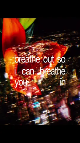 everlong- foo fighters lyrics #foofighters #aesthetic #music #lyrics #davegrogl 