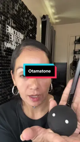 Screen free fun while we learn about other parts of the world #japan #instrument #otamatone 