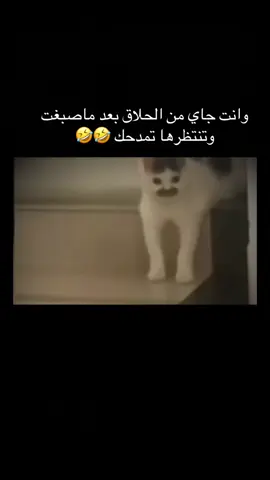 #الشعب_الصيني_ماله_حل😂😂 #😂😂😂😂😂 