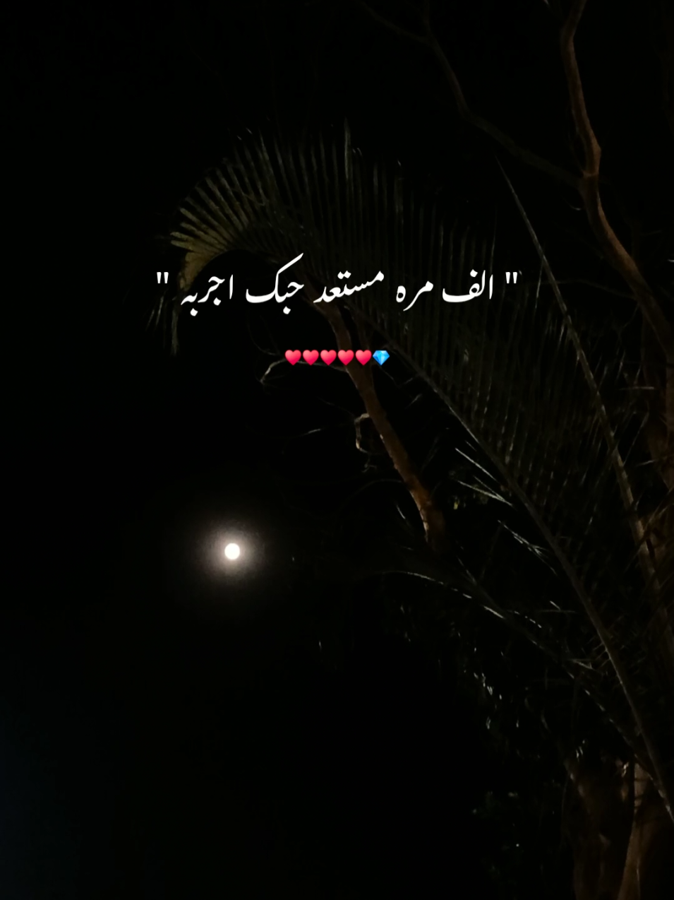 💎♥️اخسر الدنيا واربحك #علي_صابر #اغاني #تفائلت_خير_وعشكتك #موسيقى #تصويري 