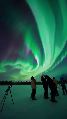 Did you know that last season we manage to see aurora in 210 nights?❤️ #lapland #aurora #finland #northernlights #rovaniemi 