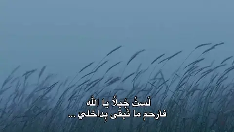 لستُ. جبلاً ياالله فأرحم ما تبقى بداخلي😔💔. #fyp  #قصائد  #حزن  #يالله  #فولو 