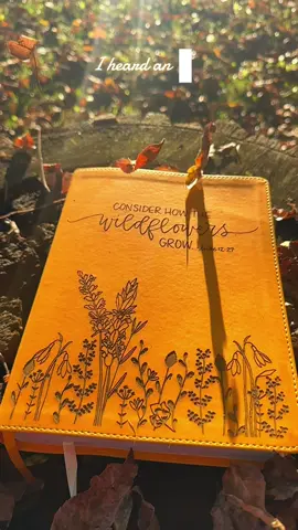 The JOY CREATIVE BIBLE 🌻Victory in Jesus when you read his word! This Beautiful Bible will help you get excited about reading His word!✝️#bible #joycreativebibles #Jesus #victoryinJesus@Joy Creative Bibles  