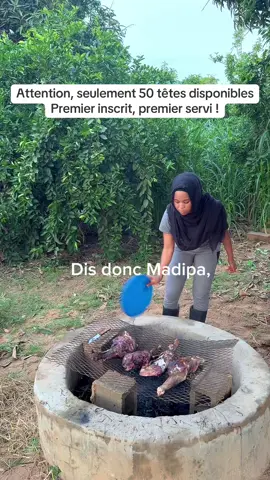 Inscris-toi vite, la ferme de tes rêves t’attend ! #foryou #tiktoksenegal #eleveurs #vachelatiere #agriculture 