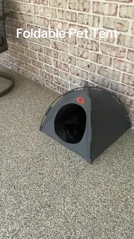 If you love your cats, get a few of these. Terry is camping on the back porch. He loves his little cat tent. #tiktokshop #cattent #cats #cat #pets 